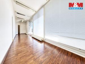 Prodej kanceláře, Písek - Pražské Předměstí, Čechova, 53 m2