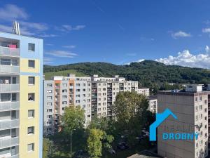 Pronájem bytu 1+1, Děčín, Čsl. partyzánů, 35 m2