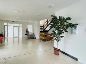 Pronájem kanceláře, Šumperk, 20 m2