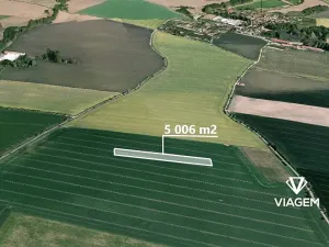 Prodej podílu pole, Ždánice, 1251 m2