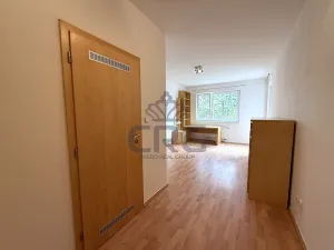 Pronájem bytu 2+kk, Brno, Haškova, 87 m2