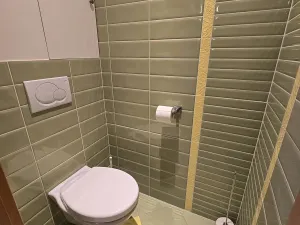 Pronájem bytu 3+kk, Jihlava, Březinova, 72 m2