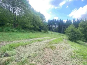 Dražba louky, Malá Bystřice, 3433 m2