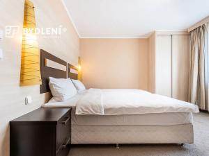 Prodej bytu 3+kk, Teplice, U Nových lázní, 91 m2