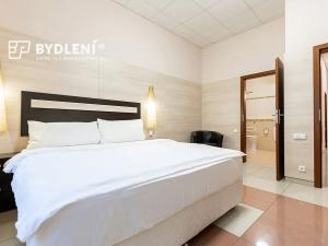 Prodej bytu 3+kk, Teplice, U Nových lázní, 96 m2