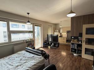 Prodej bytu 1+kk, Zlín, Březnická, 42 m2