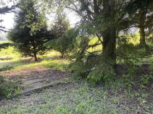 Prodej pozemku pro bydlení, Plzeň, 1019 m2