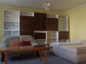 Pronájem bytu 1+1, Karlovy Vary, Sokolovská, 50 m2