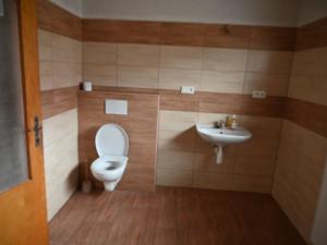Prodej rodinného domu, Velké Pavlovice, Střední, 200 m2