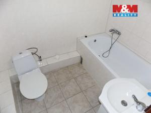 Pronájem bytu 1+kk, Teplice, U nádraží, 30 m2