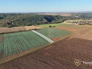Prodej pole, Tulešice, 17859 m2