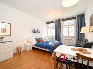 Pronájem bytu 1+kk, Praha - Vinohrady, Záhřebská, 30 m2