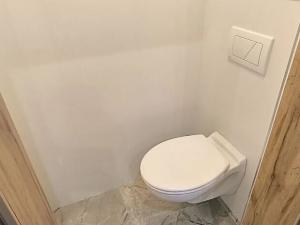 Pronájem bytu 2+1, Cheb, Karlova, 71 m2