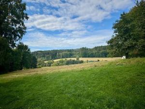 Prodej bytu 3+1, Český Dub, Mírové sídliště, 69 m2