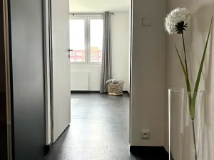 Pronájem bytu 2+1, Liberec, Rychtářská, 62 m2