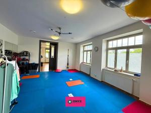 Prodej rodinného domu, Velká Bíteš, Karlov, 270 m2