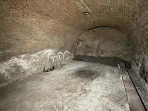 Prodej vinného sklepa, Dolní Věstonice, 54 m2