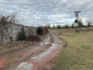 Prodej sadu/vinice, Malotice, 12163 m2