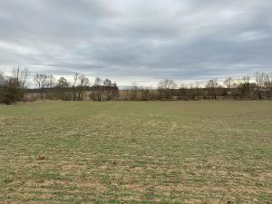 Prodej sadu/vinice, Malotice, 12163 m2