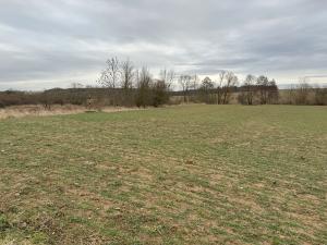 Prodej sadu/vinice, Malotice, 12163 m2