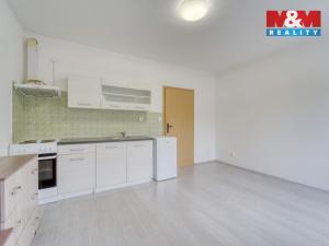 Pronájem bytu 1+kk, Štěnovice, Čižická, 28 m2