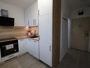Prodej bytu 1+1, Uherský Brod, 30 m2