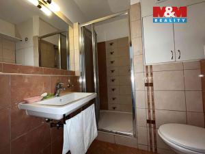 Pronájem bytu 1+kk, Prostějov, sídl. E. Beneše, 30 m2