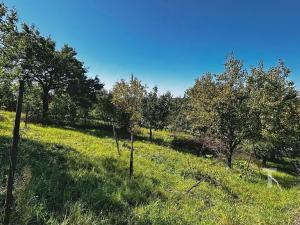 Prodej zahrady, Kyjov, 1046 m2