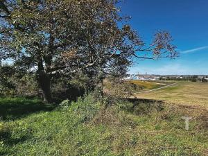 Prodej zahrady, Kyjov, 1046 m2