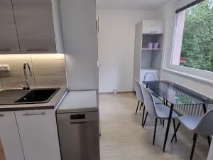 Pronájem bytu 2+1, Jihlava, Tylova, 56 m2