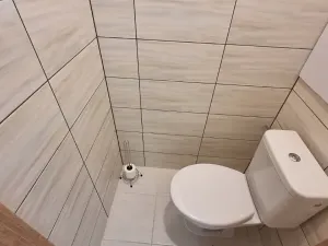 Pronájem bytu 2+1, Jihlava, Tylova, 56 m2