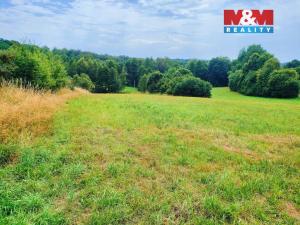 Prodej pozemku pro bydlení, Dětmarovice, 4223 m2