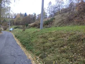 Dražba louky, Zlatá Olešnice, 792 m2