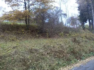 Dražba louky, Zlatá Olešnice, 792 m2