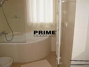 Pronájem bytu 1+kk, Praha - Vinohrady, Italská, 48 m2
