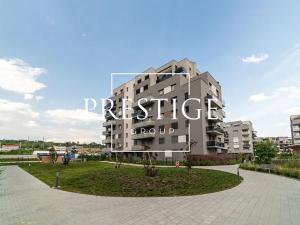 Pronájem bytu 1+kk, Praha - Hloubětín, Waltariho, 33 m2