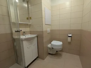Pronájem bytu 2+kk, Kraslice, B. Smetany, 36 m2
