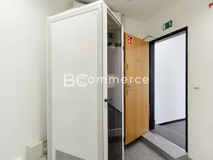 Pronájem obchodního prostoru, Brno, 192 m2