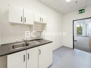 Pronájem obchodního prostoru, Brno, 192 m2