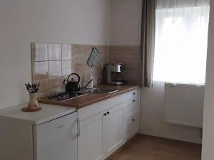 Pronájem bytu 1+kk, Zálší, 29 m2
