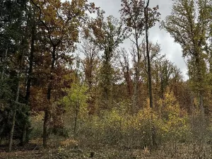 Prodej podílu pozemku, Dolní Lukavice, 43384 m2