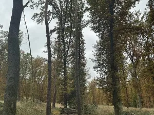 Prodej podílu pozemku, Dolní Lukavice, 43384 m2