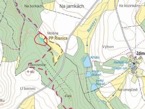 Prodej podílu lesa, Smilovy Hory, 938 m2
