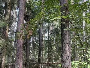 Prodej podílu pozemku, Velký Ratmírov, 3510 m2