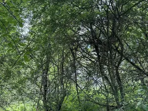 Prodej podílu pozemku, Suchdol, 9027 m2