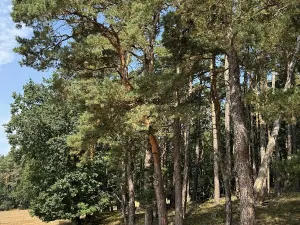 Prodej podílu pozemku, Hradiště, 3093 m2