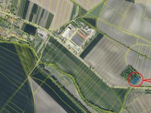 Prodej lesa, Děčany, 1581 m2