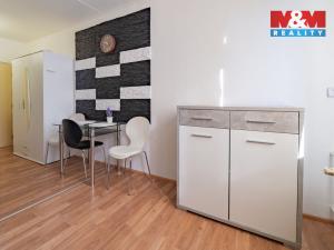 Pronájem bytu 1+kk, Aš, Dobrovského, 19 m2