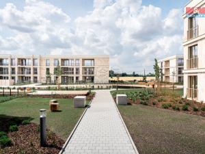 Pronájem bytu 2+kk, Brandýs nad Labem-Stará Boleslav, Dřevčická, 58 m2