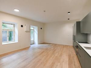 Pronájem bytu 1+kk, Praha - Nusle, Boleslavova, 43 m2